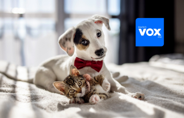 Radio VOX FM świętuje Dzień Kundelka pomagając w schronisku na Paluchu